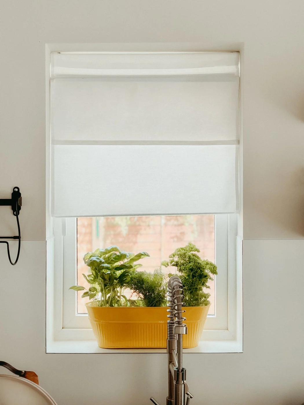 Herb pots along a sunny kitchen window