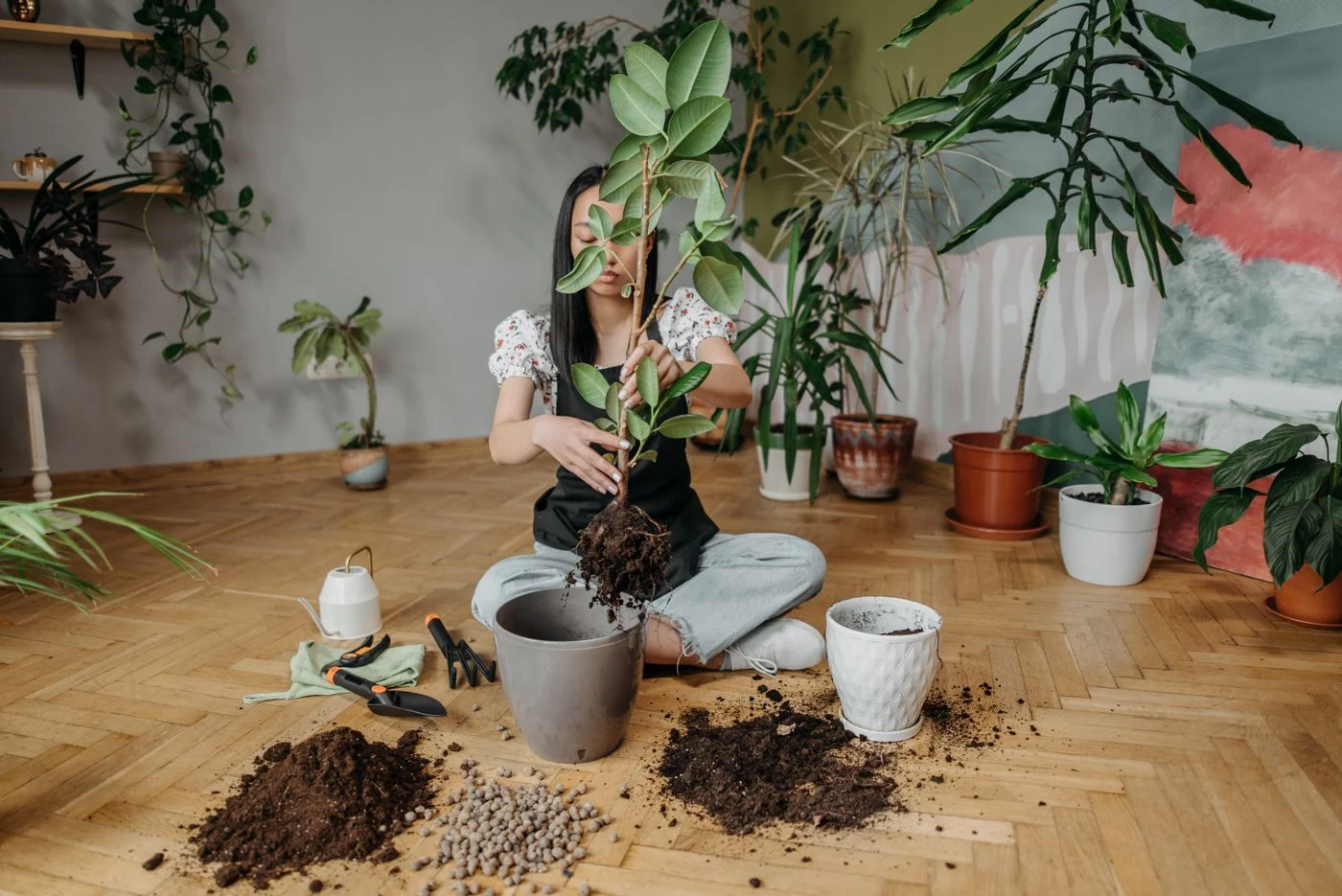 Plant and nursery pot beside a white ceramic planter