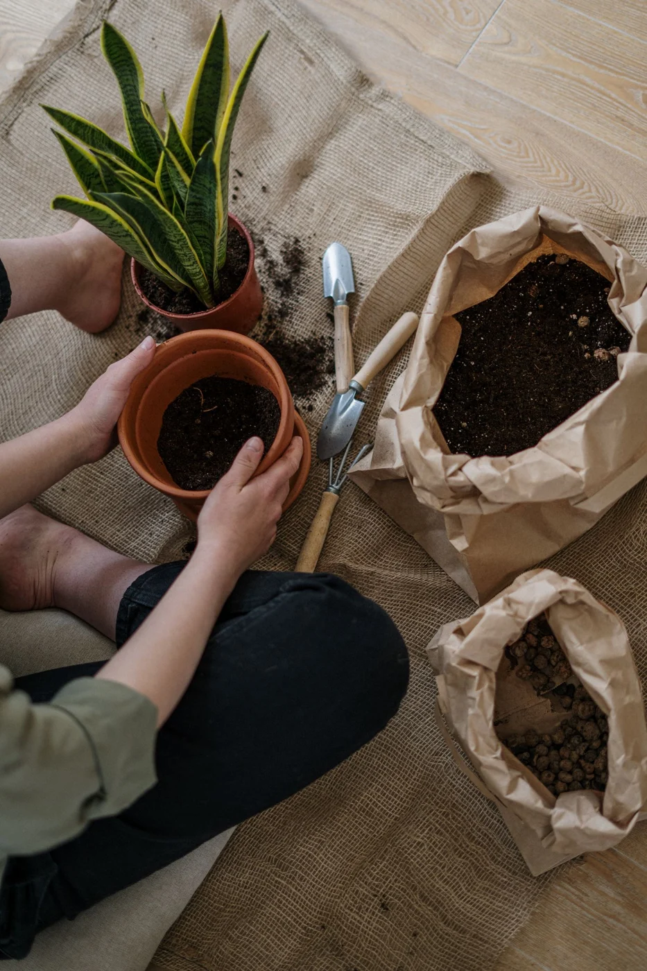 Gardening pots and hand tools on a work surface